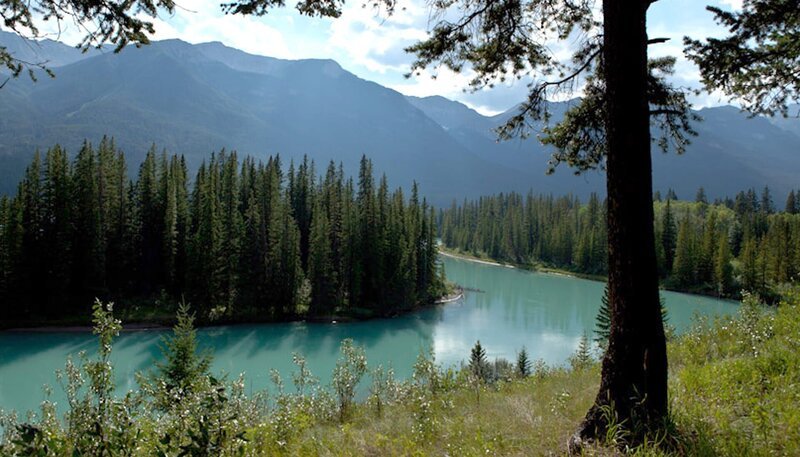 Sommerlandschaft im Banff Nationalpark Kanada. – Bild: PHOENIX/​ZDF/​Jochen Schliessler
