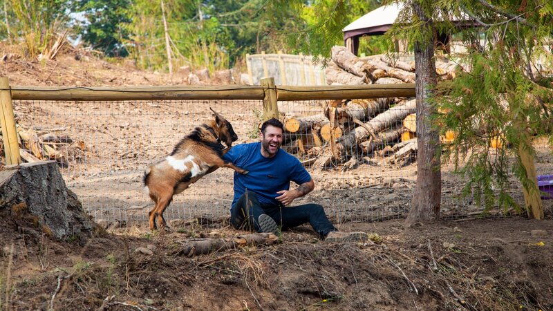 Lee Asher spielt mit einem Widder – Bild: Jean Nagy /​ Group Nine Media, Inc. /​ Photobank /​ Discovery Communications, LLC