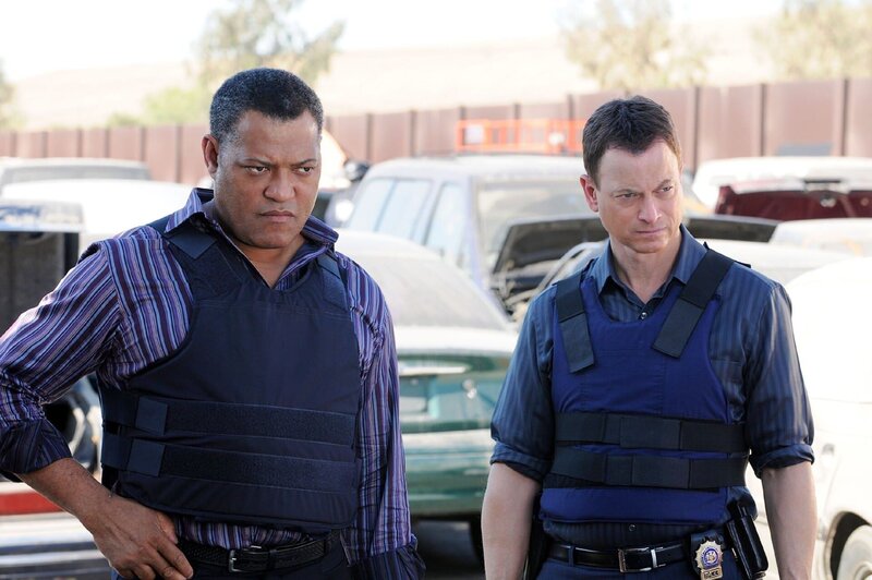 Dr. Ray Langston (Laurence Fishburne, l.) ist nach New York gereist, da der CSI-Kollege Mac Taylor (Gary Sinise) hier eine Spur zu der vermissten Madeline Briggs entdeckt hat. – Bild: VOX/​CBS