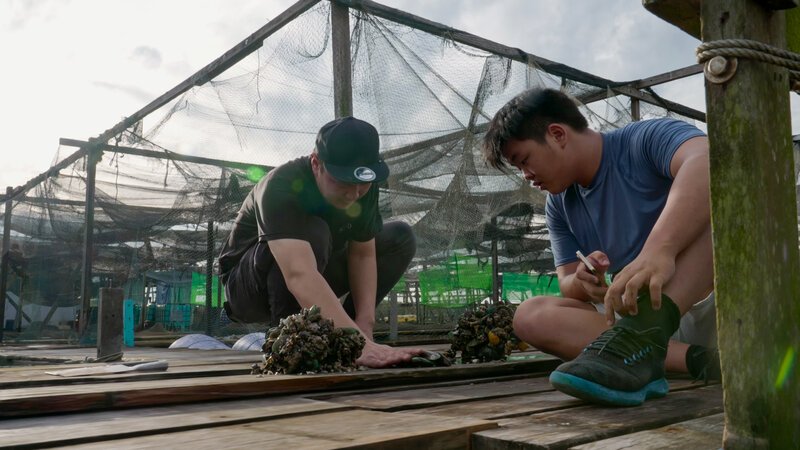 Bild: INSIGHT HD Bild: INSIGHT HD