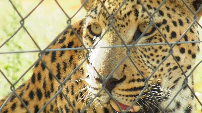 . – Bild: ANIXE HD