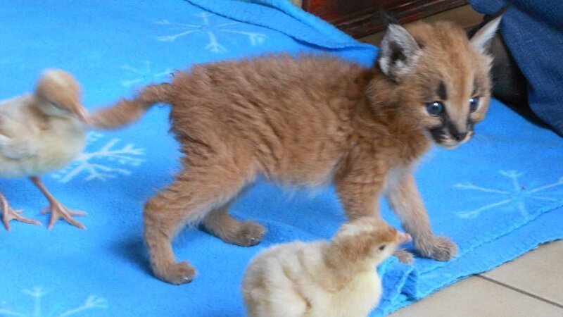 . – Bild: ANIXE HD