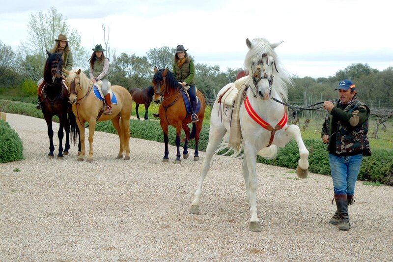 Francisco zeigt der Marquesa de Mirabel und ihren Töchtern seine Dressurkünste. – Bild: Martin Pflüger