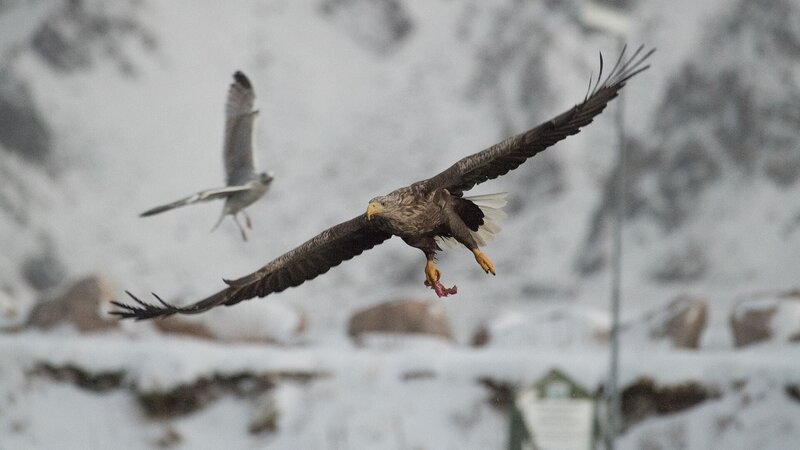 Bild: Stefan Leimer