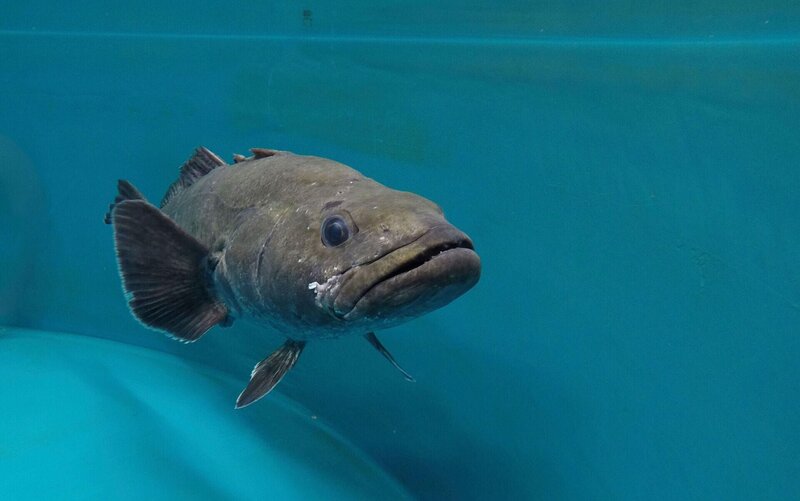 Bild: Licensed by BOAT ROCKER RIGHTS, Inc.