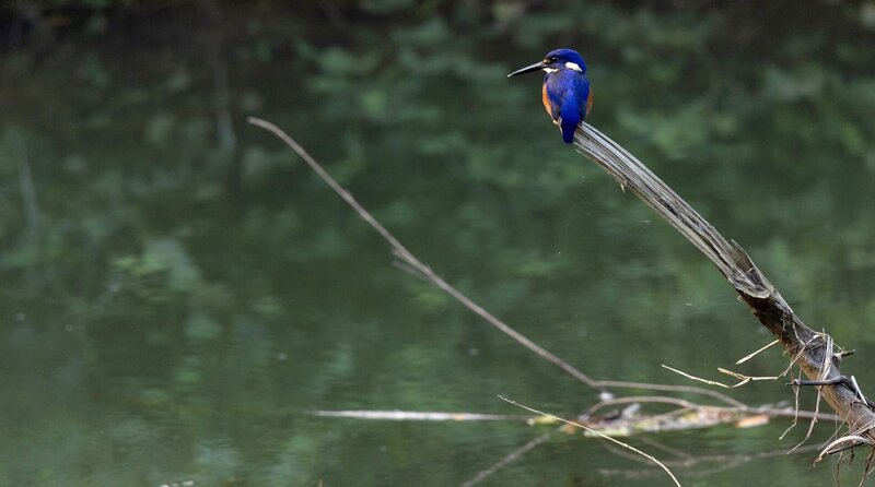 Bild: phoenix/​ZDF/​ARTE/​Niko Rakotopare