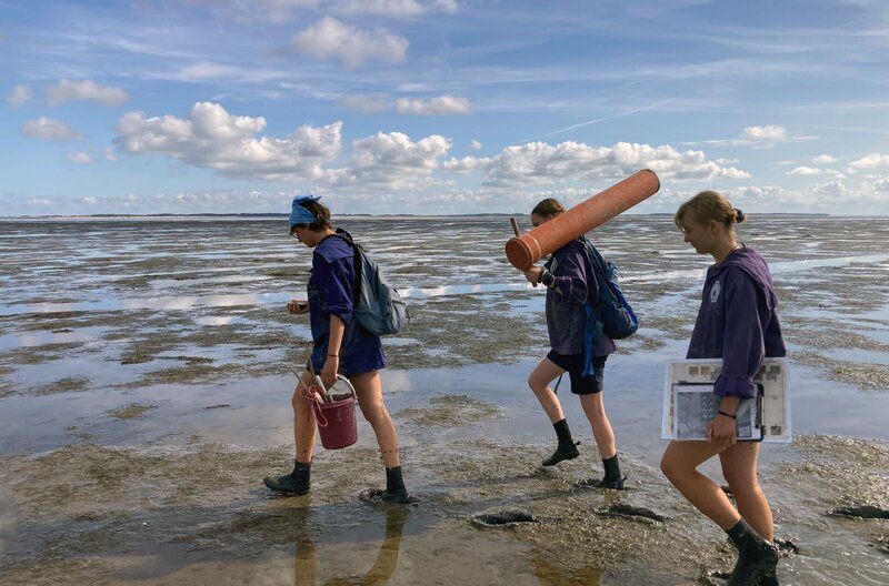 Auf der Nordseeinsel Amrum gibt es eine von vielen Einsatzstellen in Deutschland für ein Freiwilliges Ökologisches Jahr: Bei der Schutzstation Wattenmeer übernehmen die Freiwilligen zahlreiche Naturschutzaufgaben. – Bild: Christoph Castor/​BR