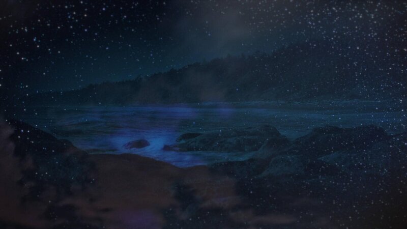 Bild: THE HISTORY CHANNEL /​ cineflix