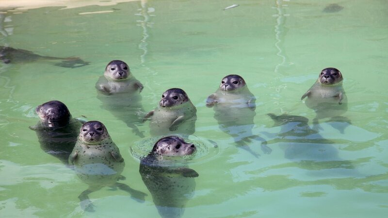 Notruf Nordseeküste – Bild: Arte