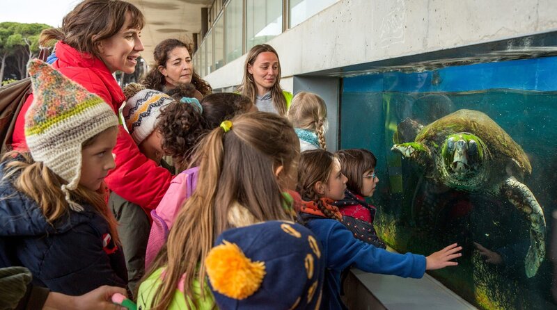 Barcelona for Beginners (3) – Familie und andere Katastrophen Mariana (Aina Clotet) freut sich über unbeschwerte Momente mit Tochter Lia (Violeta Sanvisens Martínez, r.) und der Schulklasse im Zoo – Bild: NDR/​Kiku Piñol