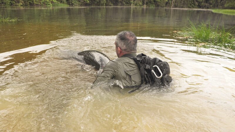 Bild: Licensed by Fremantle Media Enterprises Ltd. Lizenzbild frei