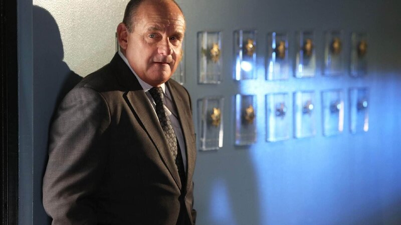 Capt. Jim Brass (Paul Guilfoyle) muss sich einige Fragen bezüglich seiner Tochter stellen. – Bild: MG RTL D