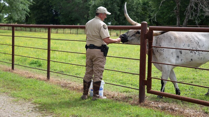 The Texas Game Wardens are responsible for protecting biodiversity and natural resources. – Bild: Animal Planet /​ Discovery Communications, LLC