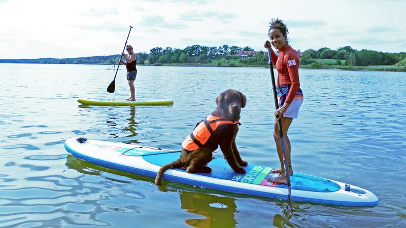 Während Pia paddelt, sitzt Neufundländer „Justus“ brav auf dem Stand-Up-Paddle-Board. – Bild: BR/​Text und Bild Medienproduktion GmbH & Co.KG
