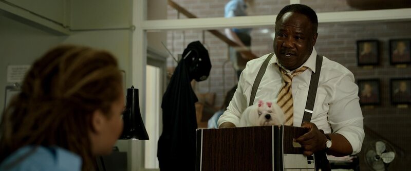 Cocaine Bear – Bild: Universal Studios