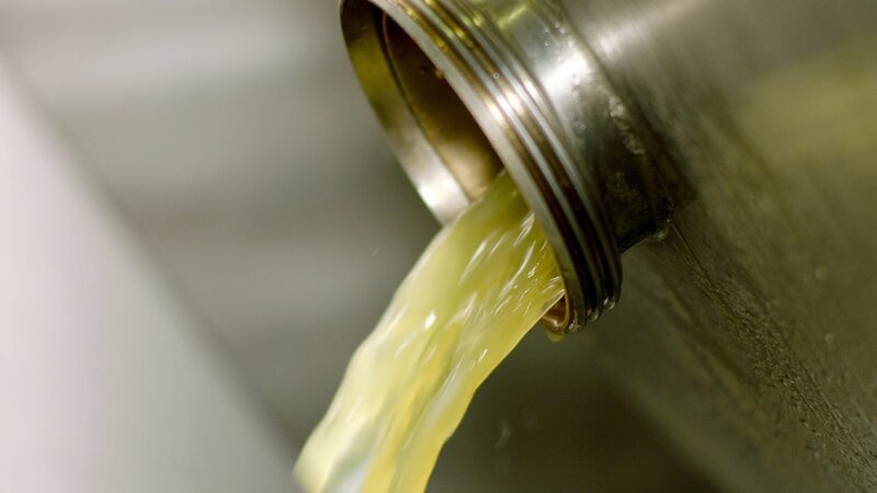 Weinproduktion. – Bild: ORF /​ D5 Productions