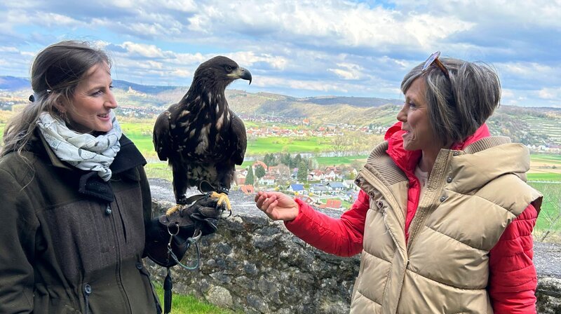 Greifenwarte auf Burg Guttenberg: Annette Krause (rechts) mit Oberfalknerin Nathalie Denholf (links) – Bild: SWR