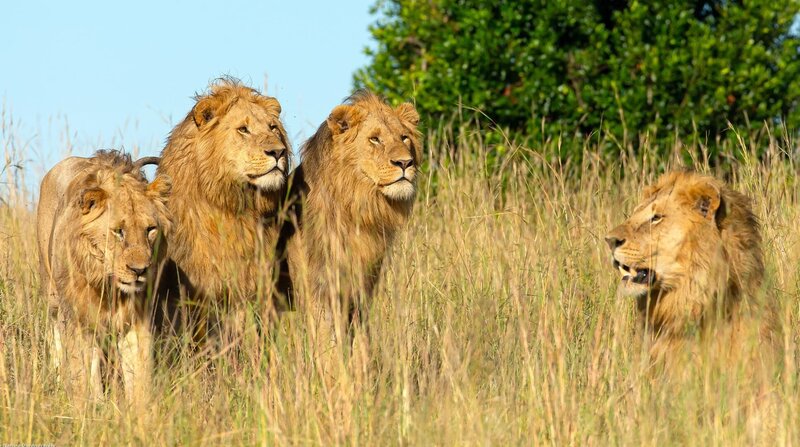 Bild: NDR/​Reinhard Radke