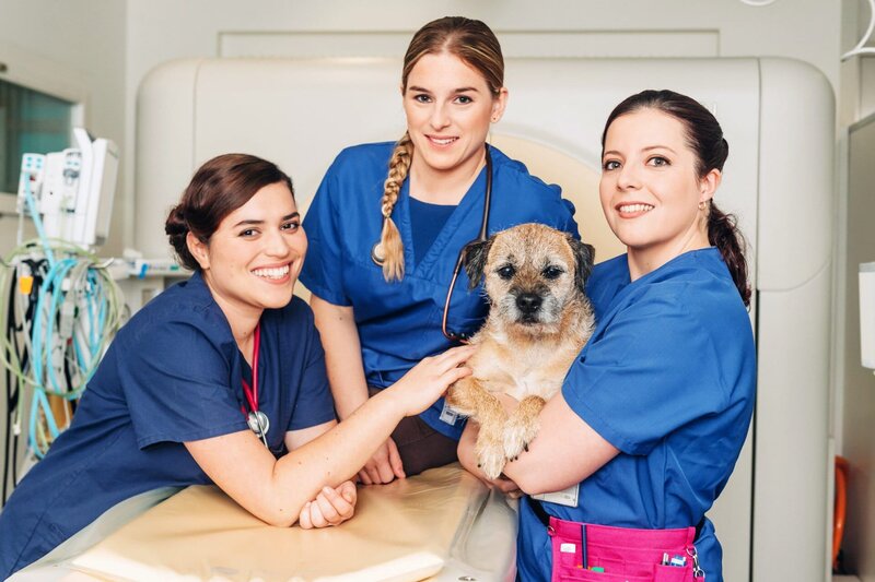 Eléonore, Florence und Alix kommen frisch von der Uni. Jetzt müssen sie sich den vielen Herausforderungen im Alltag als Tierärztinnen stellen. – Bild: SRF/​RTS