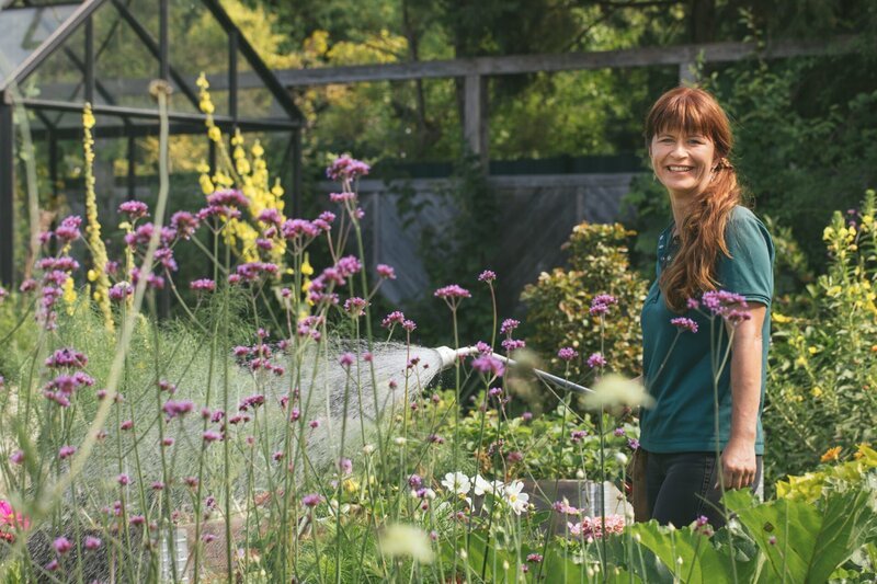 Moderatorin Sabrina Nitsche pflückt einen Wildblumenstrauß im Querbeet-Garten.; Moderatorin Sabrina Nitsche schneidet im Querbeet-Garten einen sommerlichen Blumenstrauß.; Moderatorin Sabrina Nitsche wässert die Pflanzen im Querbeet-Garten. – Bild: Lisa Hinder / ZDF Moderatorin Sabrina Nitsche pflückt einen Wildblumenstrauß im Querbeet-Garten.; Moderatorin Sabrina Nitsche schneidet im Querbeet-Garten einen sommerlichen Blumenstrauß.; Moderatorin Sabrina Nitsche wässert die Pflanzen im Querbeet-Garten. – Bild: Lisa Hinder / ZDF