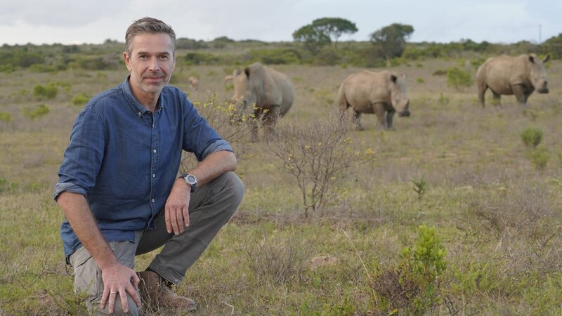 Die Wilderei ist einer der größten Faktoren im Artensterben. Viele Tiere, wie etwa Nashörner, stehen am Rand des Aussterbens. – Bild: ZDF