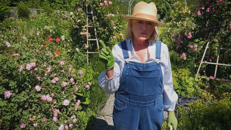 Martha Stewart. – Bild: HGTV