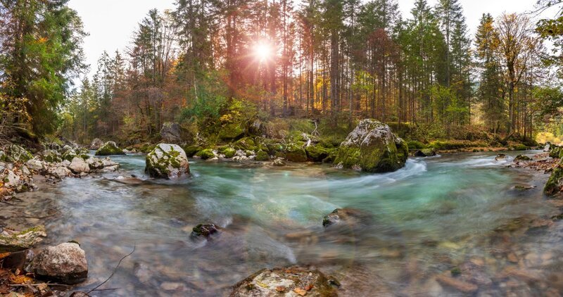 Auerhühner sind bei uns durch intensive Forstwirtschaft und Massentourismus bedroht. Die urwüchsigen Wälder oberhalb des Kochelsees aber bieten unseren größten europäischen Hühnervögeln einen Lebensraum. Hier lassen sich die großen Auerhähne noch bei der Balz beobachten.; Wer sich für Pferde interessiert, ist an der Loisach genau richtig. Nur wenige Kilometer vom Murnauer Moos entfernt liegt das Haupt- und Landgestüt Schwaiganger. Lange wurden hier für das Militär Rosse gezüchtet und ausgebildet, bis das Gestüt 1920 vom Bayerischen Staat zivilere Aufgaben bekam. Heute wird hier auf hohem Niveau die Rasse Deutsches Sportpferd und Süddeutsches Kaltblut gezüchtet.; Unterhalb der Zugspitze hat die Loisach noch Wildwassercharakter. Nicht weit von ihren Quellen durchfließt die Loisach in Österreich das Ehrwalder Becken, bevor es wieder durch die Berge geht. Auch wenn die Bundesstraße nach Garmisch fast immer in Sichtweite ist, die Loisach fließt hier noch wild und ungestüm, wandelt sich langsam vom Bach zum Fluss. – Bild: iStockphoto/​Wolfgang Filser