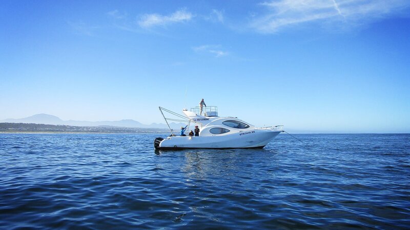 Köderrobbe für die Fangexpedition. – Bild: Warner Bros. Discovery