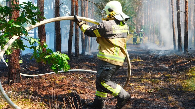 Heißer Sommer – für Brandenburgs Wälder höchste Gefahr. Nirgends in Deutschland brennt es so häufig wie in den Kiefernforsten zwischen Prignitz und Elbe-Elster-Land. Über 500 Waldbrände zählten die Behörden hier allein 2022. An besonderen Hotspots, wie in der Region Schenkenländchen, rücken die Freiwilligen Feuerwehren mehrmals pro Woche zum Löschangriff in die umliegenden Wälder aus. – Waldbrand gelöscht, von der Freiwilligen Feuerwehr Halbe. – Bild: rbb/​Felix Krüger