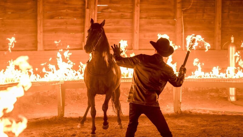 Sabin Tambrea (Thordur Thorvaldson). – Bild: ORF/​Constantin Film/​SamFilm/​Marc Reimann