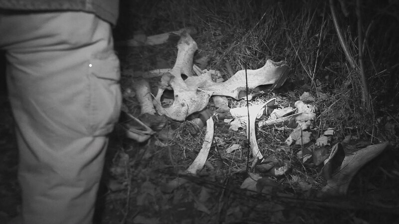 Bones on the ground. – Bild: Warner Bros. Discovery