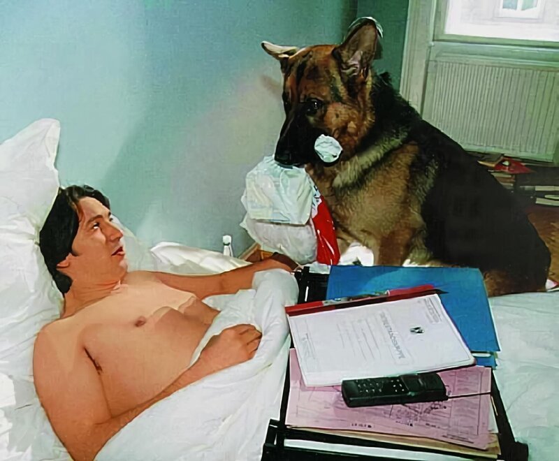 Richard Moser (Tobias Moretti) und Rex – Bild: ORF (FS1/​FS2)