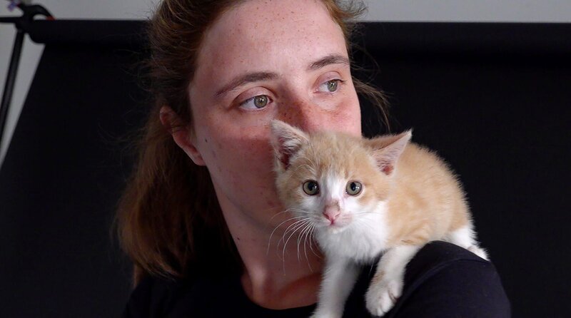 Pünktlich zum Frühjahr sind wieder alle Katzenzimmer im Tierheim Koblenz mit Katzenbabys belegt. Mit viel Herz und guter Laune kümmert sich das Team um große und kleine Sorgenkinder. – Bild: WDR