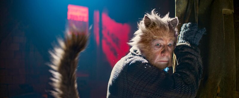 Cats – Bild: ORF/​Universal