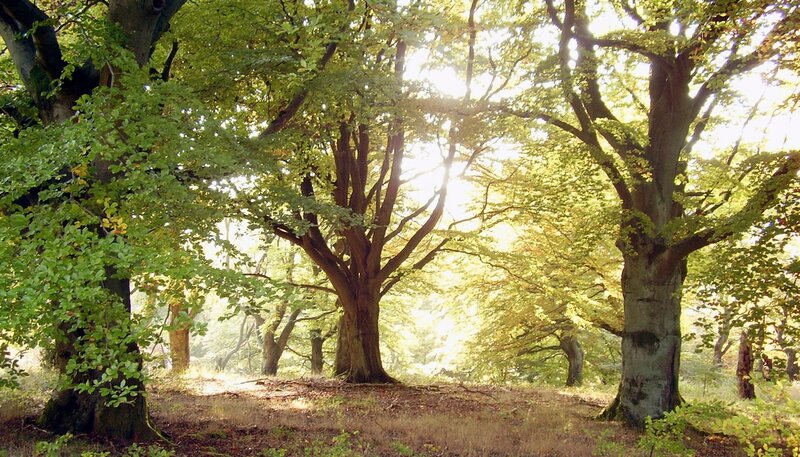 Bild: HR/​Knüll Touristik e.V.