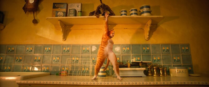 Cats – Bild: ORF/​Universal