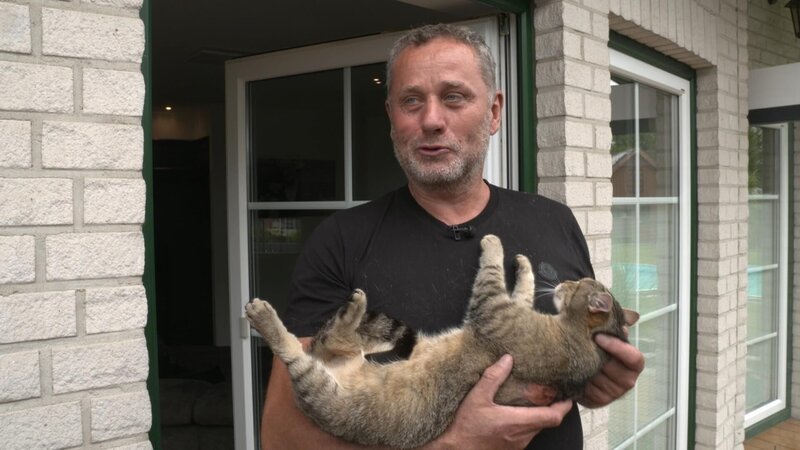 Thomas Siemers’ Katze Bonnie hat eine wunde Stelle, da sie sich zu viel leckt. – Bild: RTL /​ solisTV /​ Hundeelend und Katzenjammer – Tiertherapeutinnen im Einsatz