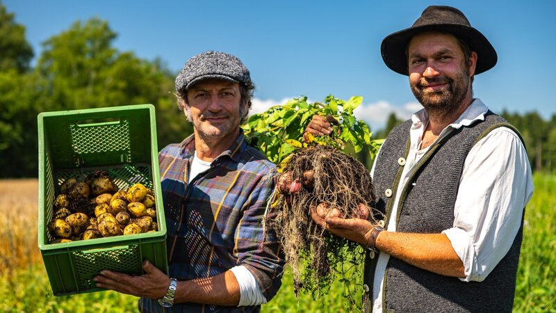 Von links: Schmidt Max hilft Bio-Landwirt Max Schlarb aus Schlarbhofen (Kolbermoor) bei der Kartoffel-Ernte: was ist der Unterschied zwischen einer hellen Frühkartoffel und einer zum Beispiel roten schalenfesten Lagerkartoffel? – Bild: André Goerschel / BR / BR/André Goerschel Von links: Schmidt Max hilft Bio-Landwirt Max Schlarb aus Schlarbhofen (Kolbermoor) bei der Kartoffel-Ernte: was ist der Unterschied zwischen einer hellen Frühkartoffel und einer zum Beispiel roten schalenfesten Lagerkartoffel? – Bild: André Goerschel / BR / BR/André Goerschel