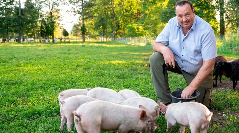 Ludger Bremehr bei den Ferkeln auf der Weide. Weiteres Bildmaterial finden Sie unter www.br-foto.de. – Bild: NDR/​WDR/​Melanie Grande