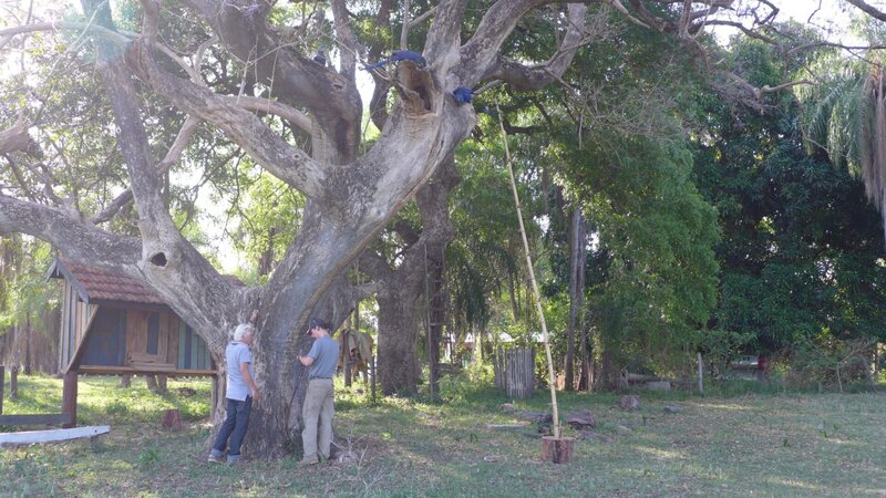 Dreharbeiten mit der Nestkamera. – Bild: BR/​Andrea Rüthlein
