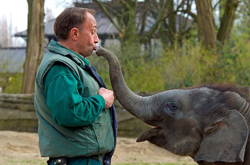 Elefantenpfleger Thorsten Köhrmann liebt seine Schützlinge. – Bild: NDR/​Hagenbeck
