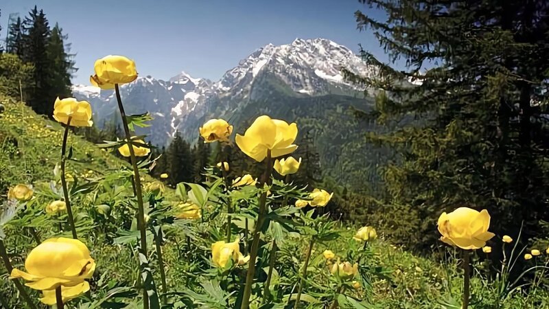 Die Berchtesgadener Alpen – Bild: ARD