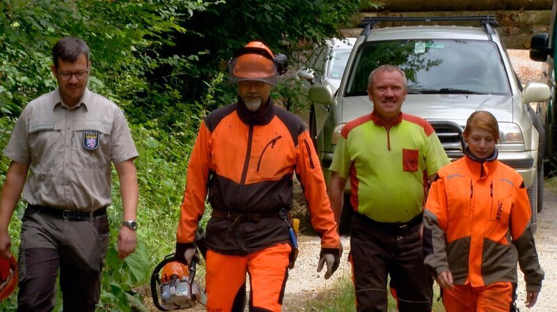 hr-fernsehen DER KAMPF UM DEN WALD, aus der Reihe „Erlebnis Hessen“, Ein Film von Eckhard Braun und Uli PfÃ¶rtner, am Dienstag um 20:15 Uhr. Auf in den Wald – FoÌˆrster Vadersen (li.) aus dm Reinhardswald und seine Mitstreiter. – Bild: HR /​ HR/​Pressestelle
