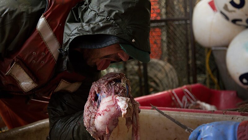 Kado Davis about to eat fish guts. – Bild: Discovery Channel