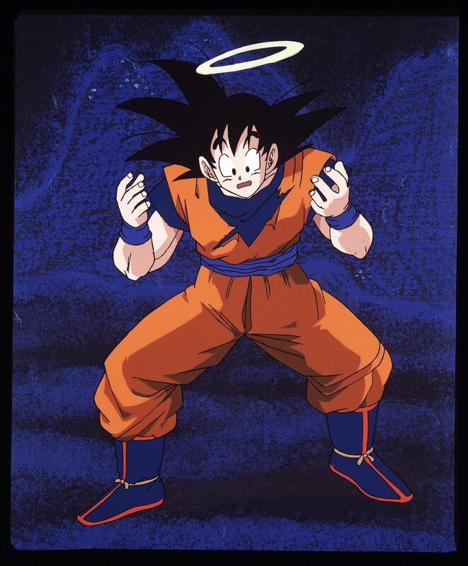 Bild: Bird Studio/​Shueisha, Toei Animation