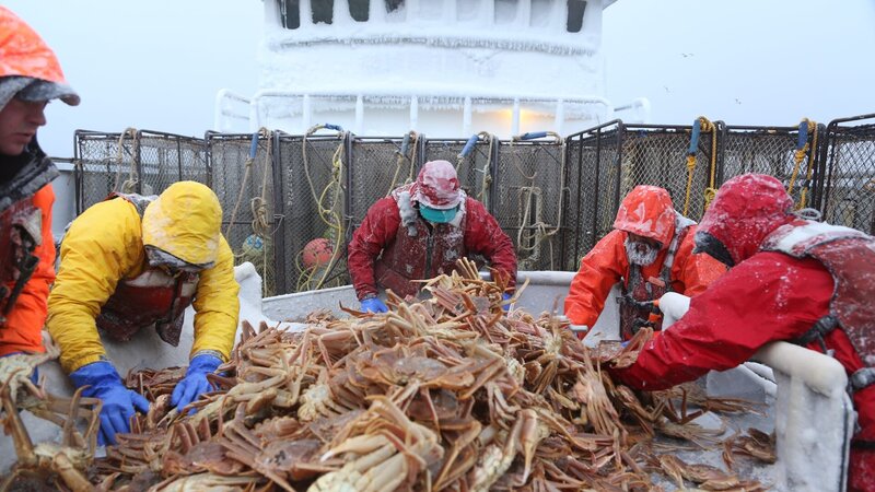It’s the deadliest job on earth: crab fishing off the Alaska coast on the icy Bering Sea, home of the most violent waters on earth. During the five-day season, a handful of adventurers will battle Arctic weather, brutal waves, and a ticking clock for a chance at big money in this modern day gold rush. – Bild: Discovery Communications