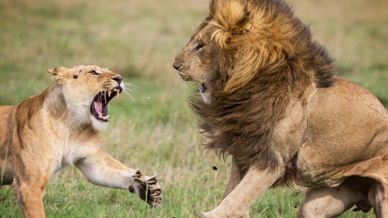 . – Bild: Warner Bros. Discovery