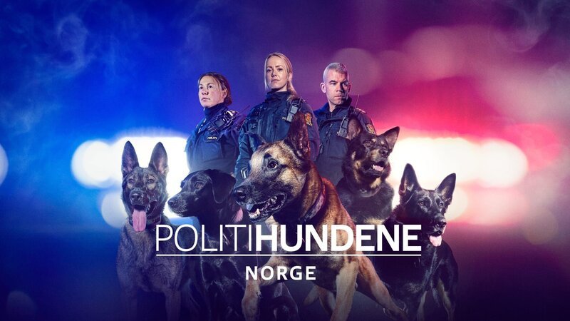 Bild: Amazon Web Services, Inc. or its affiliates.