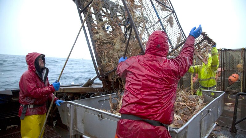 Bild: Discovery Channel