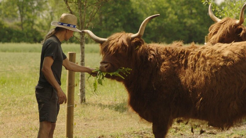 Landwirt Johann Zehentner bekämpft die Zackenschote, eine invasive Pflanze, die sich schnell ausbreitet und heimische Arten verdrängt. – Bild: Christiane Streckfuß /​ BR